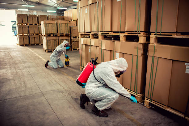 Best Termite Control Services  in Bel Air South, MD
