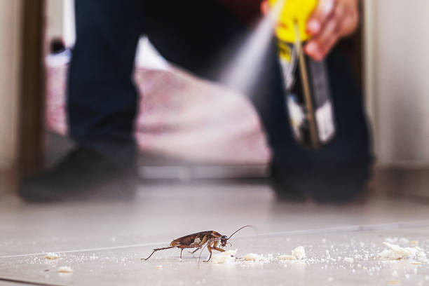 Pest Control Cost in Bel Air South, MD