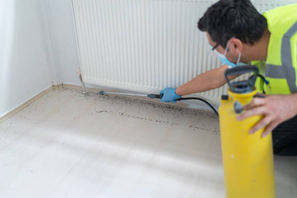 Best Pest Inspection Near Me  in Bel Air South, MD